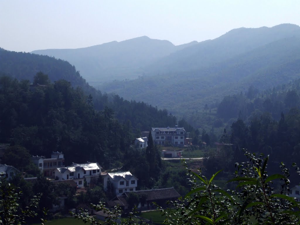 張家寨村(雲南省紅河州箇舊市大屯鎮張家寨村)