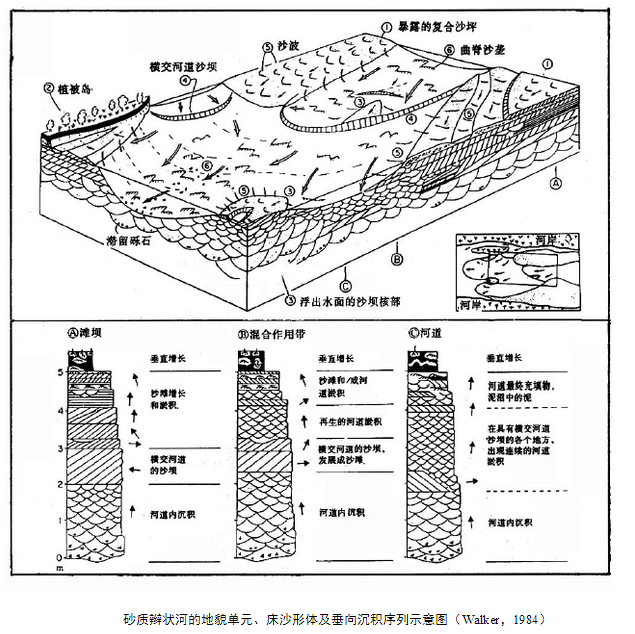 辮狀河沉積