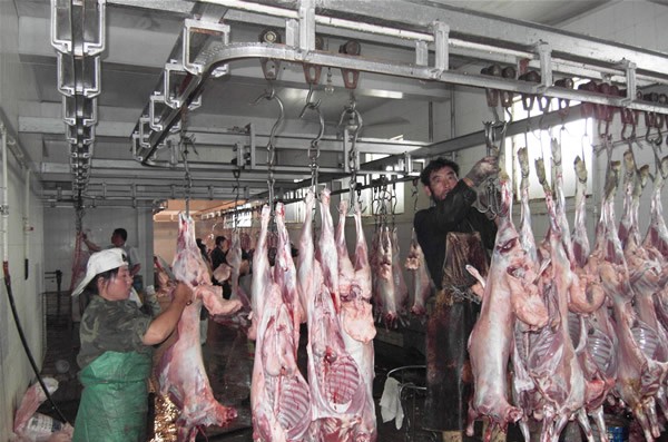 蘇尼特地區羊肉生產車間