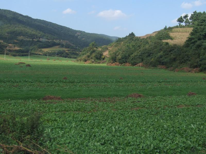 雙龍箐村