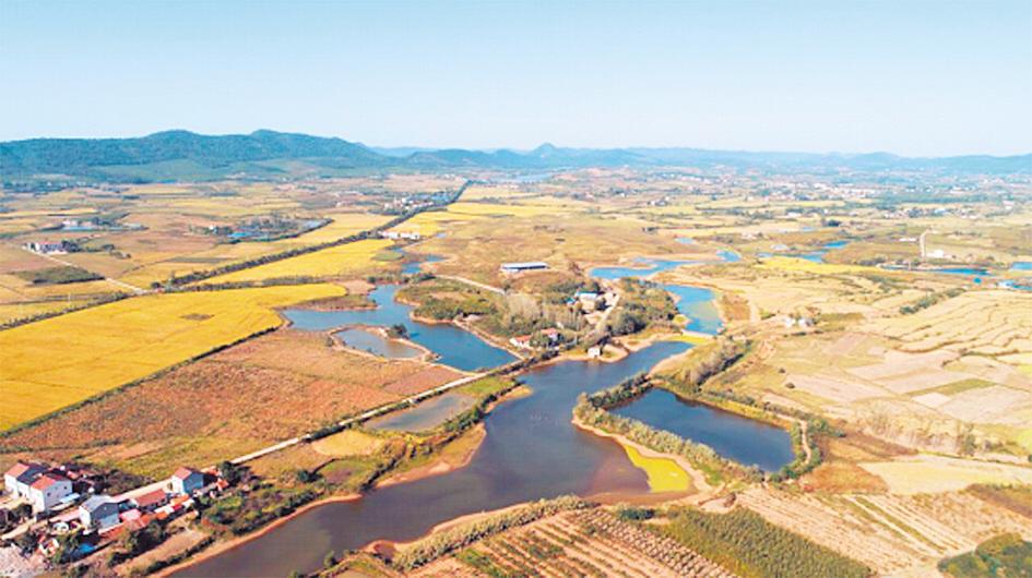 屈家嶺遺址(京山屈家嶺文化遺址)