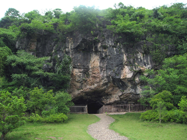 仙人洞遺址(江西新石器時代遺址)