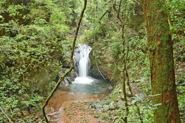 大桂山林場