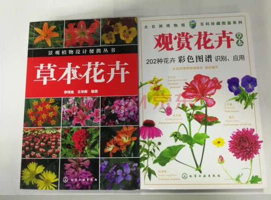 草本花卉書籍封面