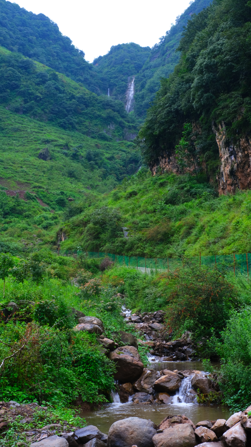 坪川村自然景觀