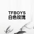 TFBOYS白色玫瑰