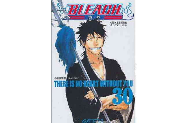 BLEACH 境·界30