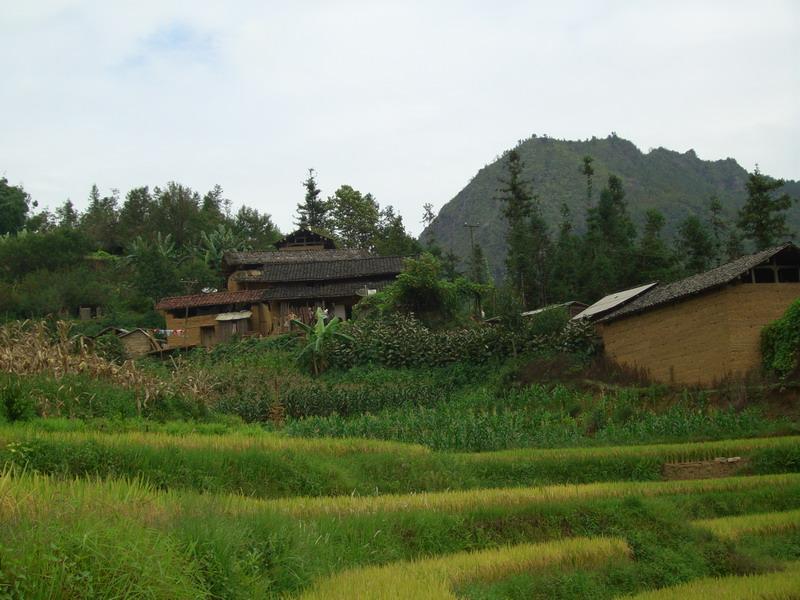 花枯馬自然村