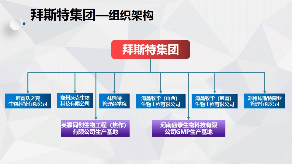 拜斯特（鄭州）企業管理諮詢集團有限公司