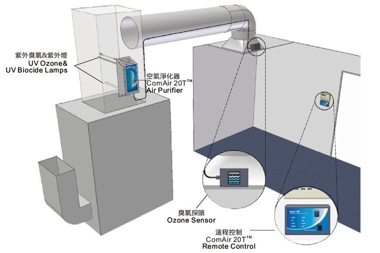 臭氧淨化