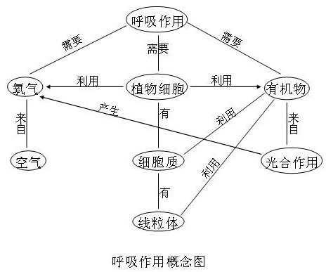 呼吸作用