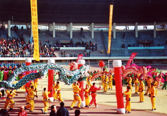 龍舞（金州龍舞）