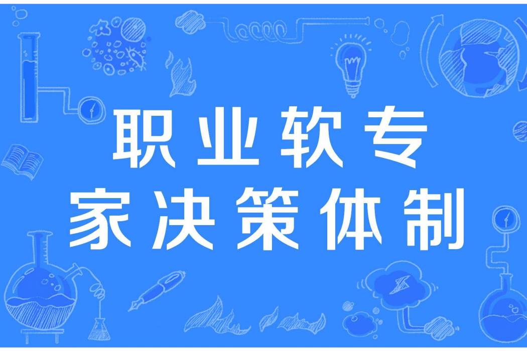 職業軟專家決策體制