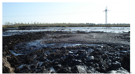 被原油污染的土地，大量含油污泥覆蓋地表