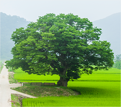 南首爾大學(韓國南首爾大學)