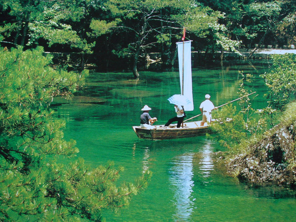 打洛森林公園