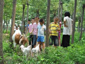 2014年匯賢雅國學夏令營