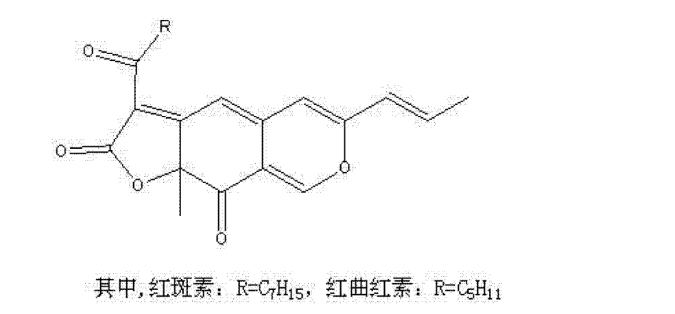 高品質低桔黴素水溶性紅曲紅色素的製備方法