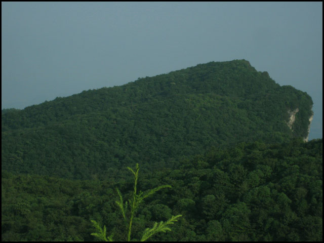 梨埡村