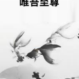 唯吾至尊(唯愛雪汐創作的網路小說)