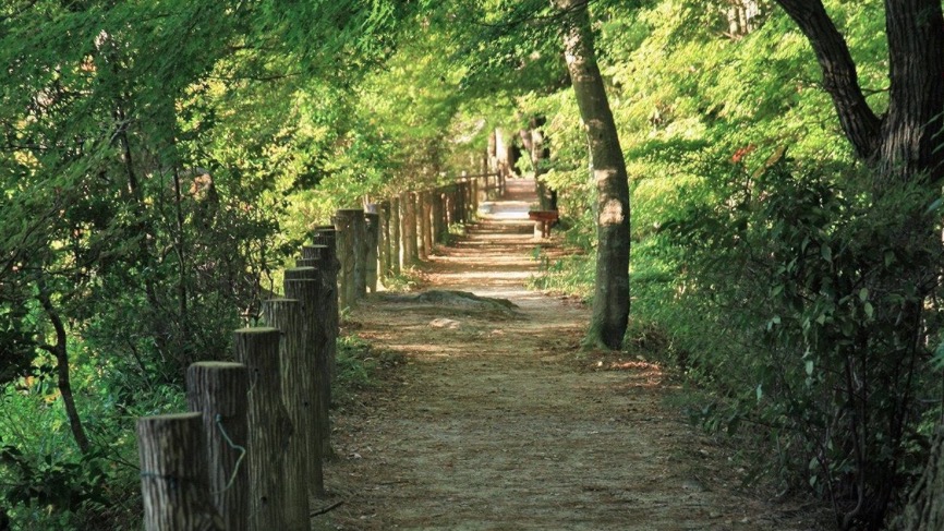 神戶市(神戶)