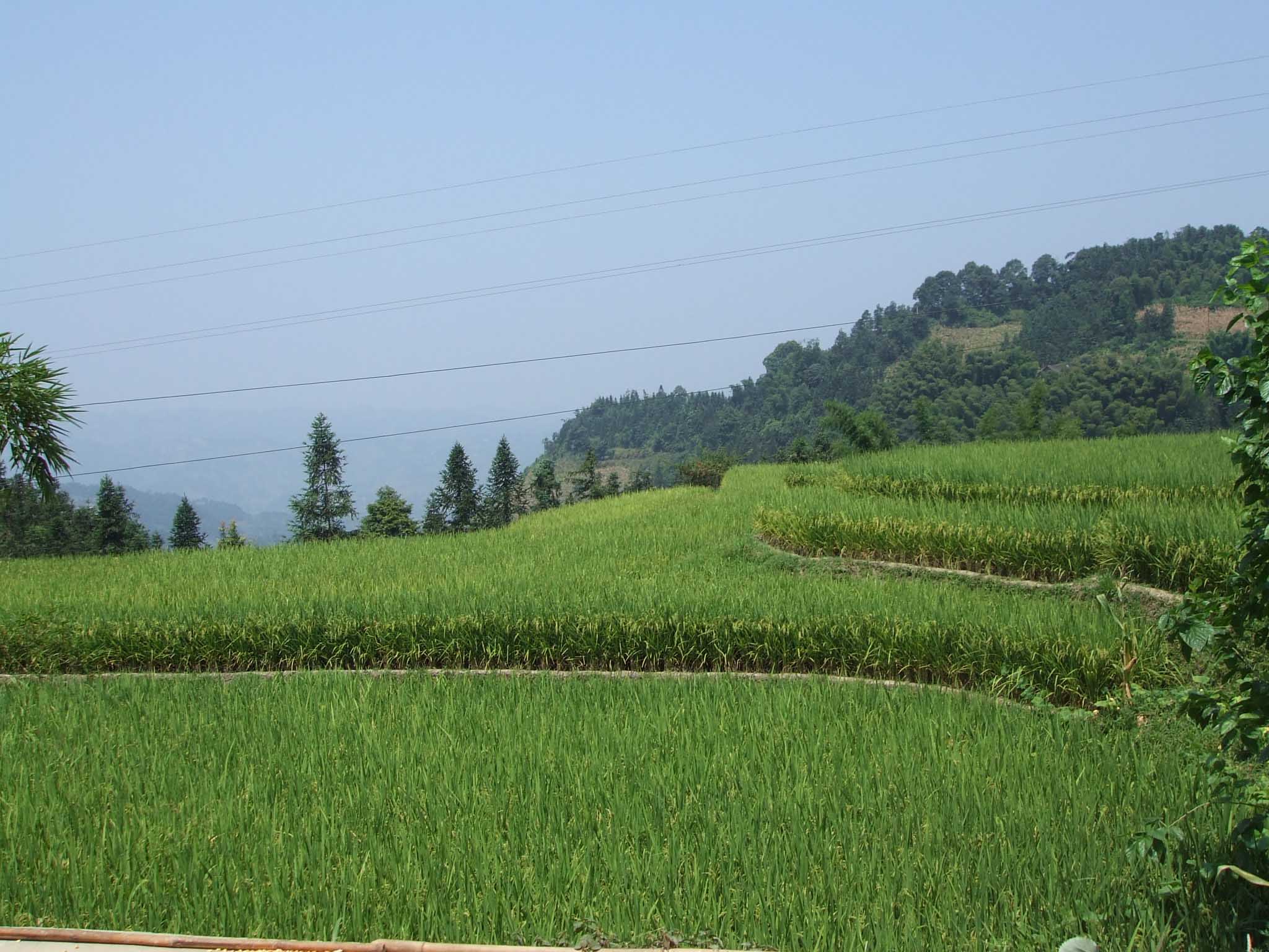 這是大寨壩到王大埂的風景