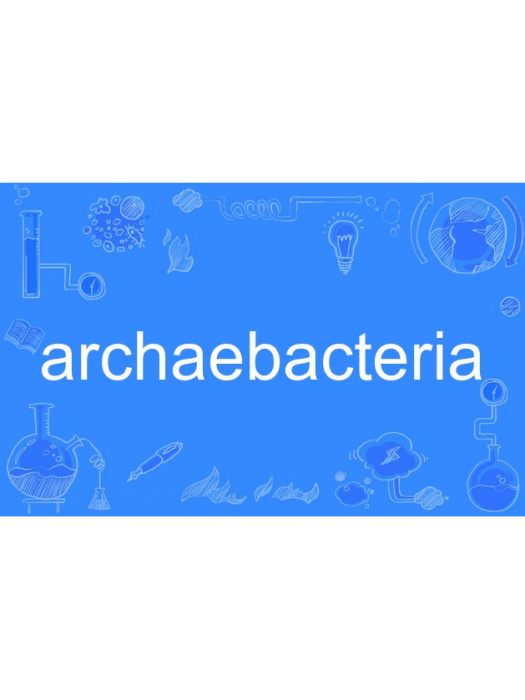 archaebacteria