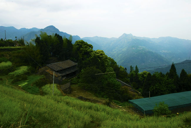 吳坑村(福建邵武市大竹鎮下轄村)