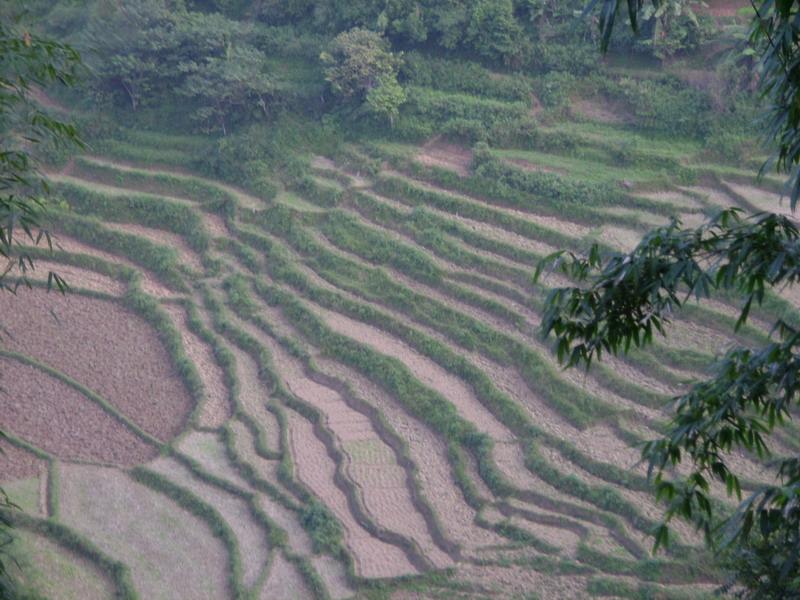 村中田園