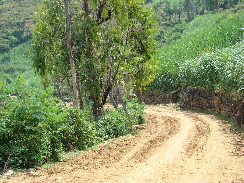 茅草坡自然村通村道路