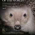 Handbook of the Mammals of the World (Volume 8)