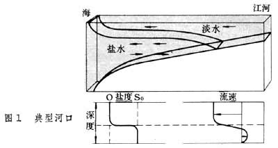 河口生態