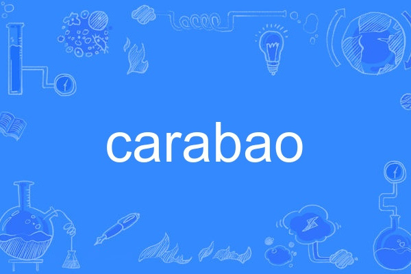 carabao