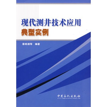 現代測井技術套用典型實例