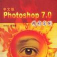 中文版Photoshop 7.0精彩實例