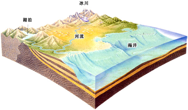 地球表面水占的比例