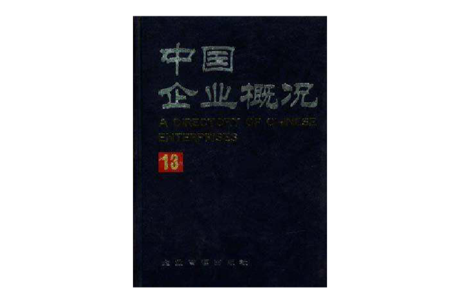 中國企業概況(13)