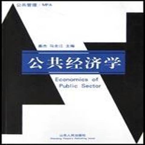 公共經濟學(2003年山東人民出版社出版的圖書)