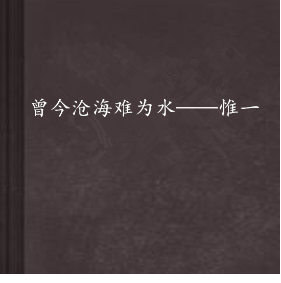 曾今滄海難為水——惟一