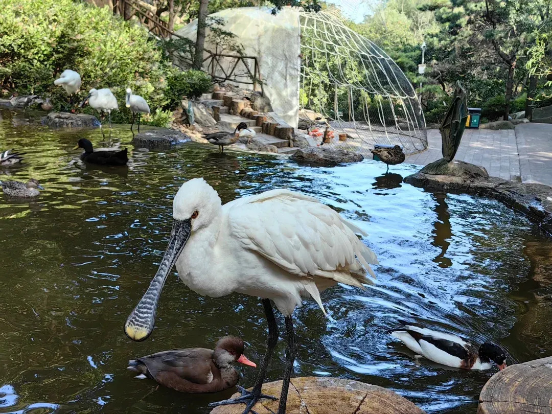 大連市老虎灘海洋公園(遼寧省大連市AAAAA級旅遊景區)