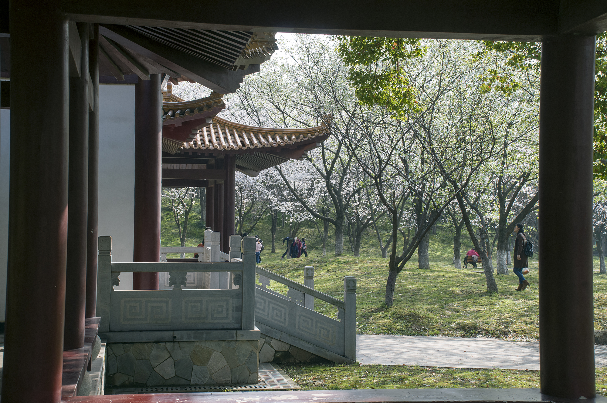 青山公園(武漢市公園)