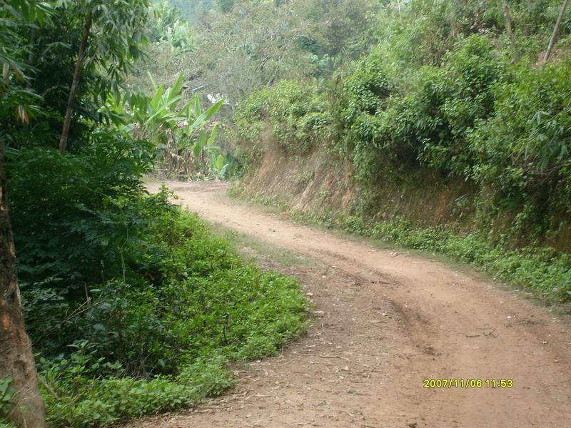 進村道路