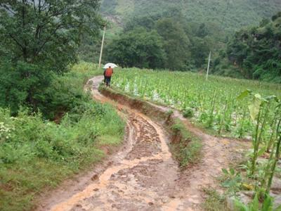 進村道路