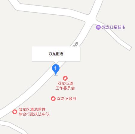 雙龍街道(雲南省昆明市雙龍街道)