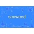 seaweed