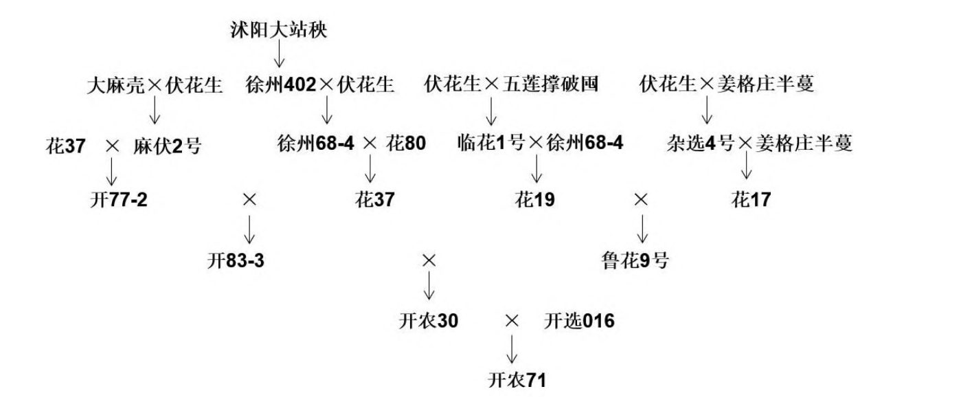 開農71