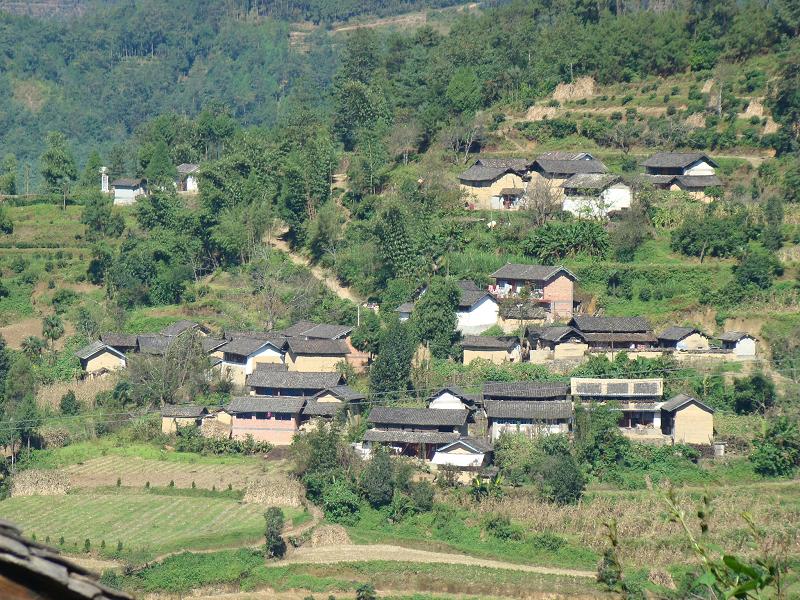 茶林自然村(雲南綏江縣南岸鎮下轄村)