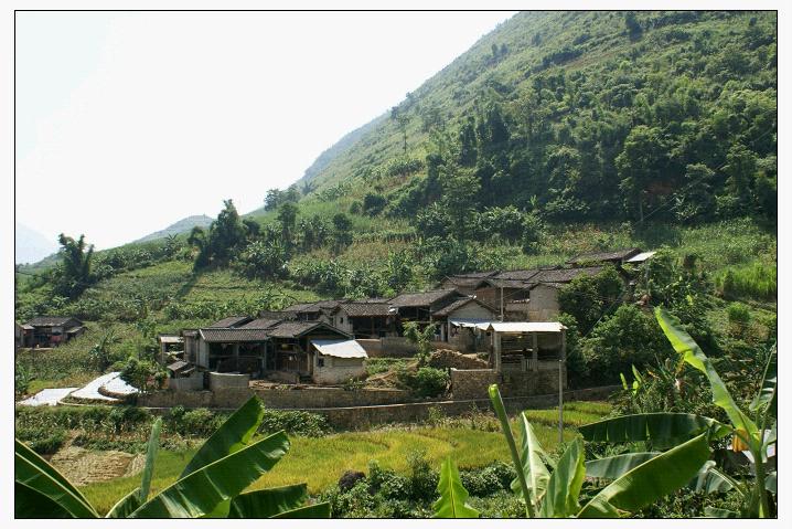 金龍自然村(雲南保山龍陵縣碧寨鄉梨樹坪村委金龍自然村)