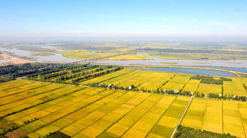 平羅新八景