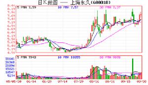 中路股份有限公司(永久牌腳踏車)